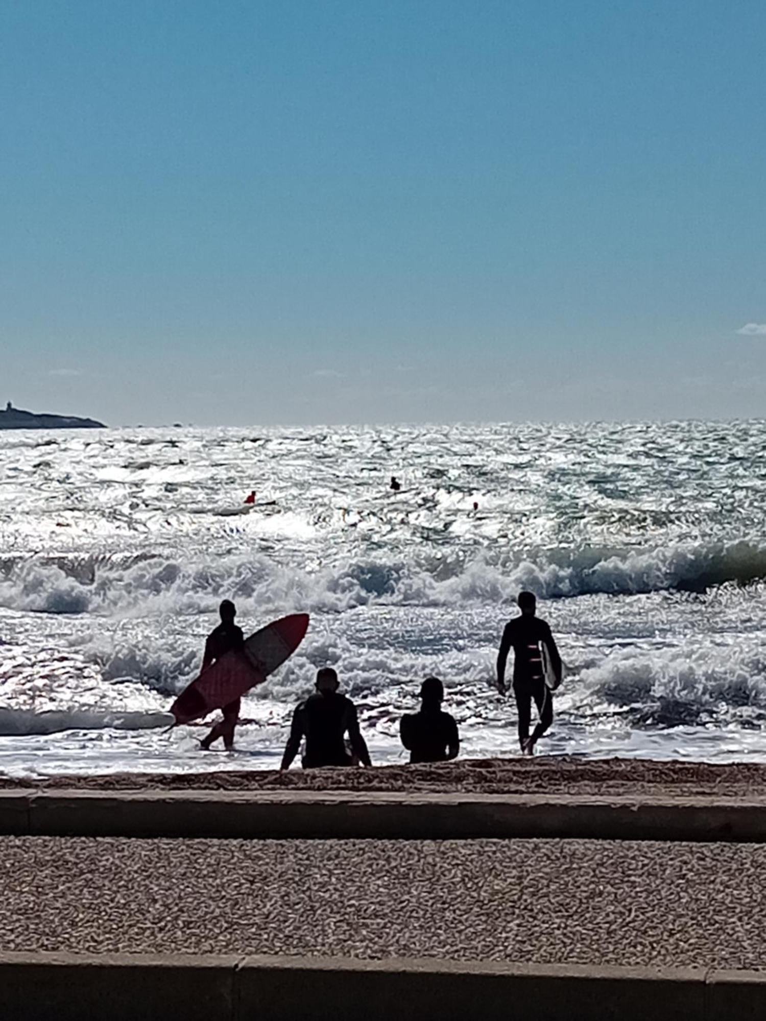 Appartement T2 Avec Piscine A 100 M De La Plage Six-Fours-les-Plages Exterior foto